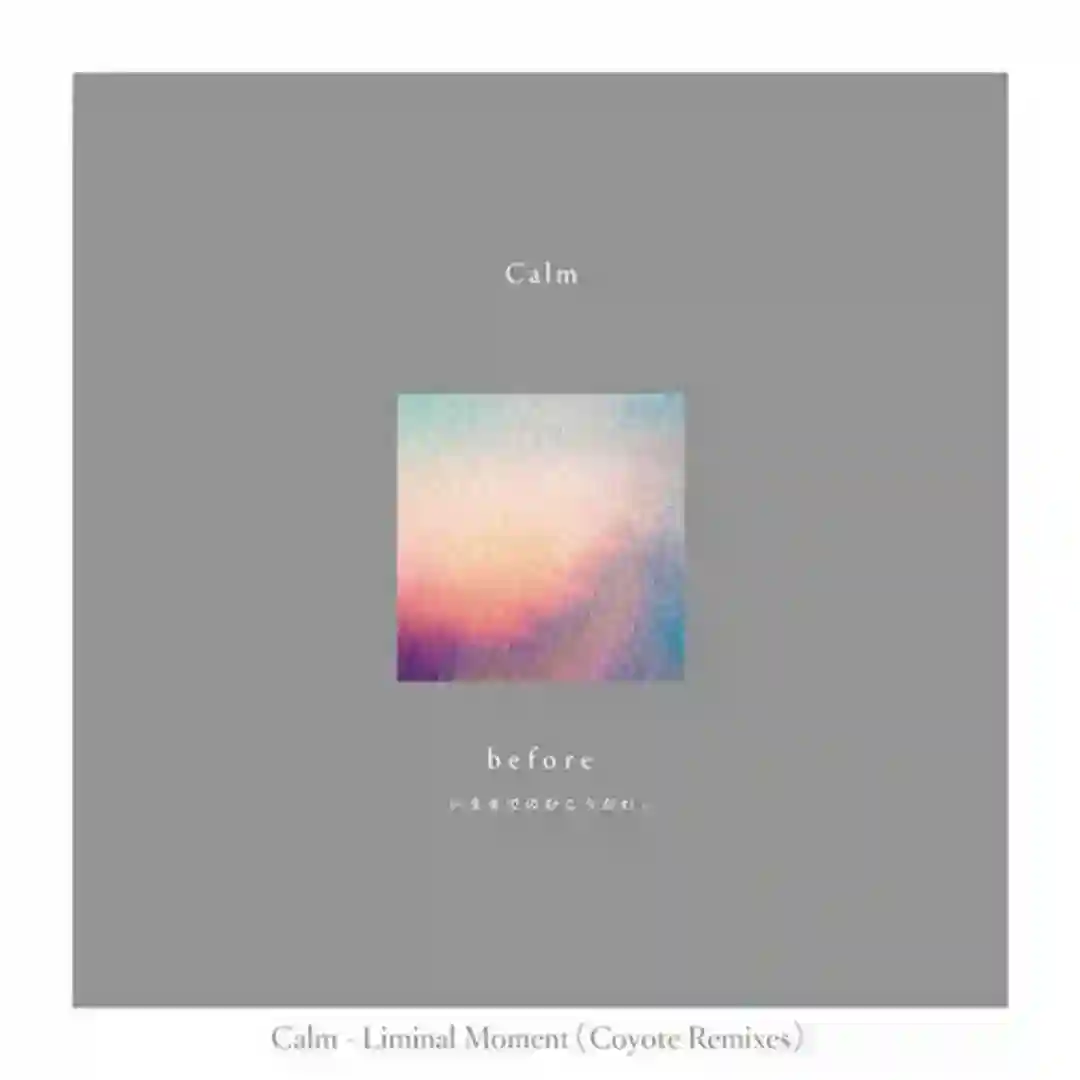 Liminal Moment (Coyote Acid Dream Mix) cover