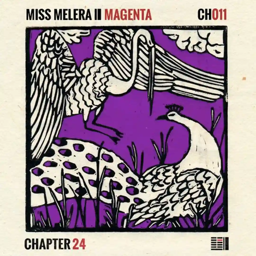 Mint (Jonas Saalbach Remix) cover