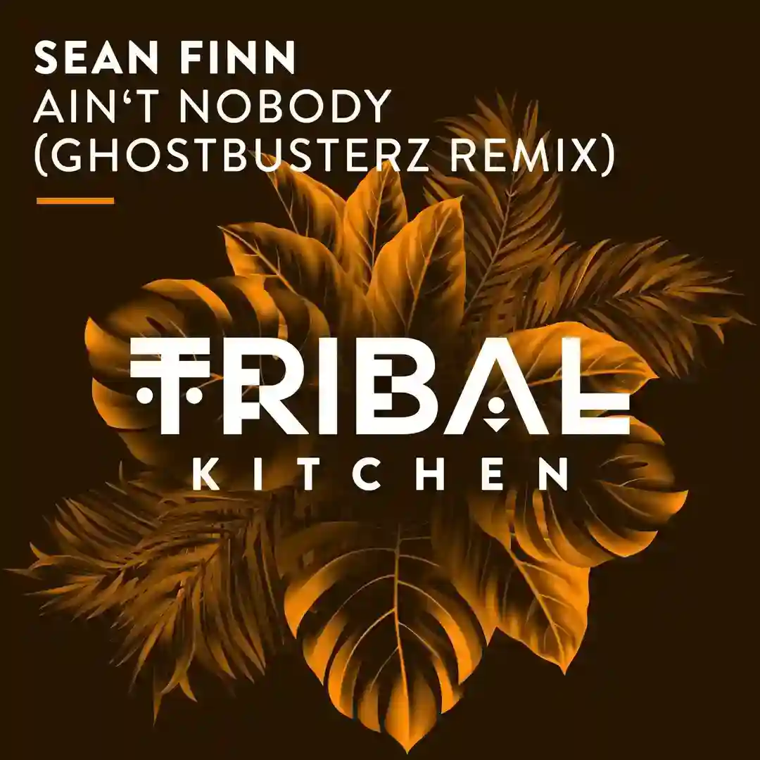 Ain't Nobody (Ghostbusterz Euro Extended Remix) cover