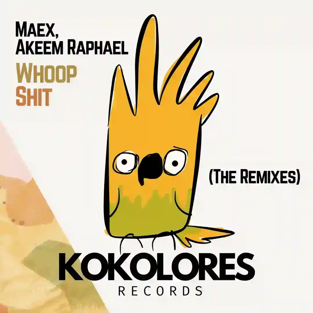 Whoop Shit  (The Remixes) cover