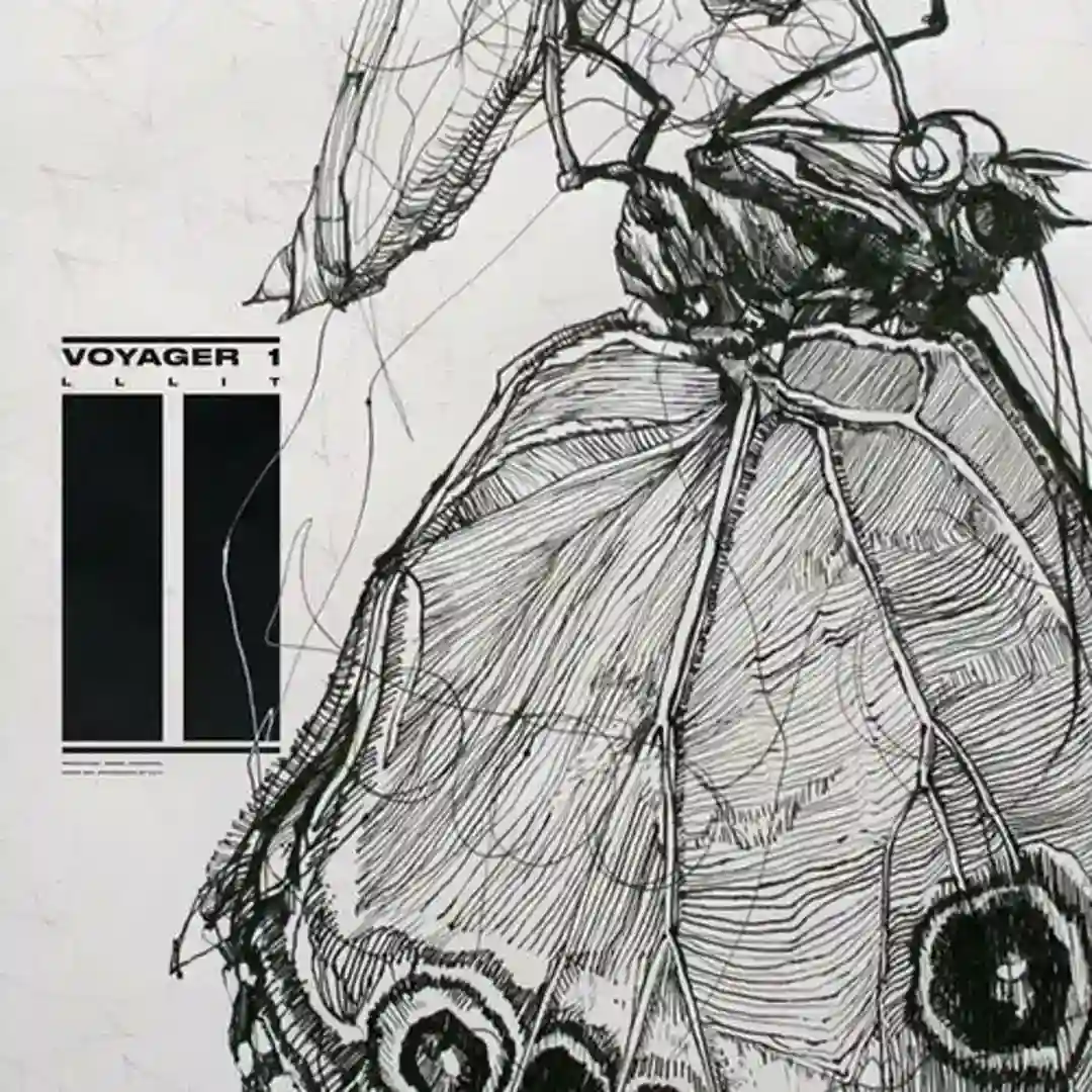In the Lab cover