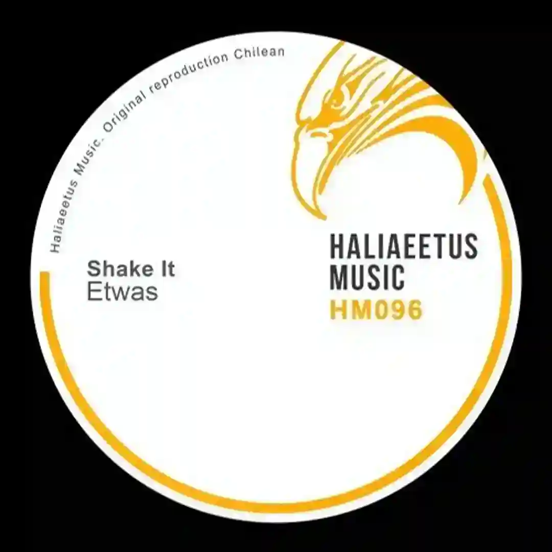 Shake It cover