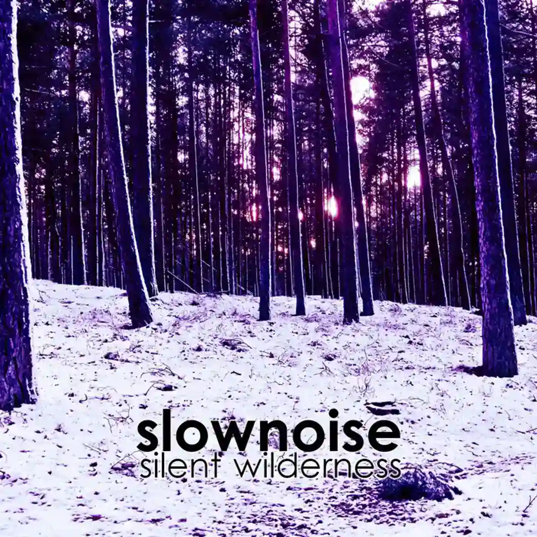 Silent Wilderness cover