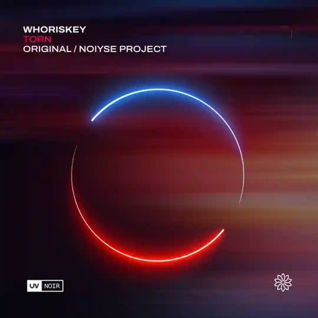 Torn (NOIYSE PROJECT Extended Remix) cover