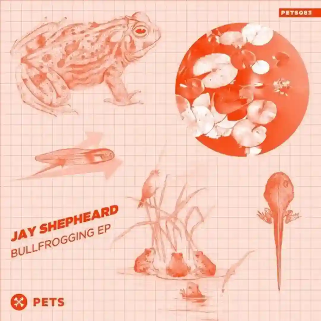 Bullfrogging (Original Mix) cover