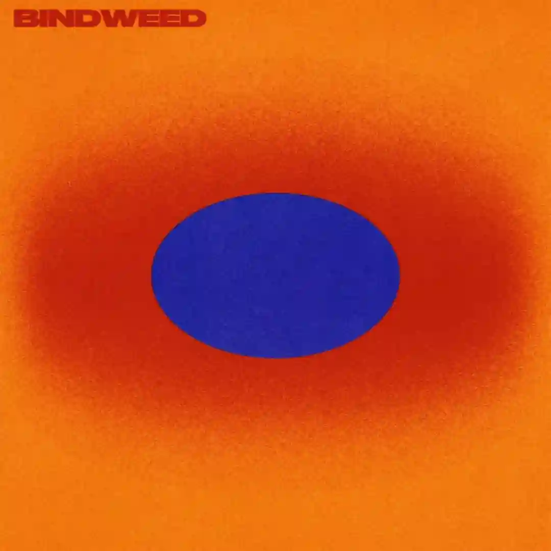 Bindweed cover