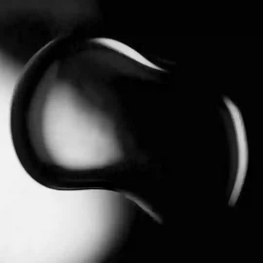 Rave On (Original Mix) cover