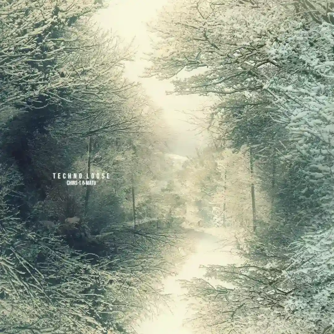 Will Not Leave (Original Mix) cover