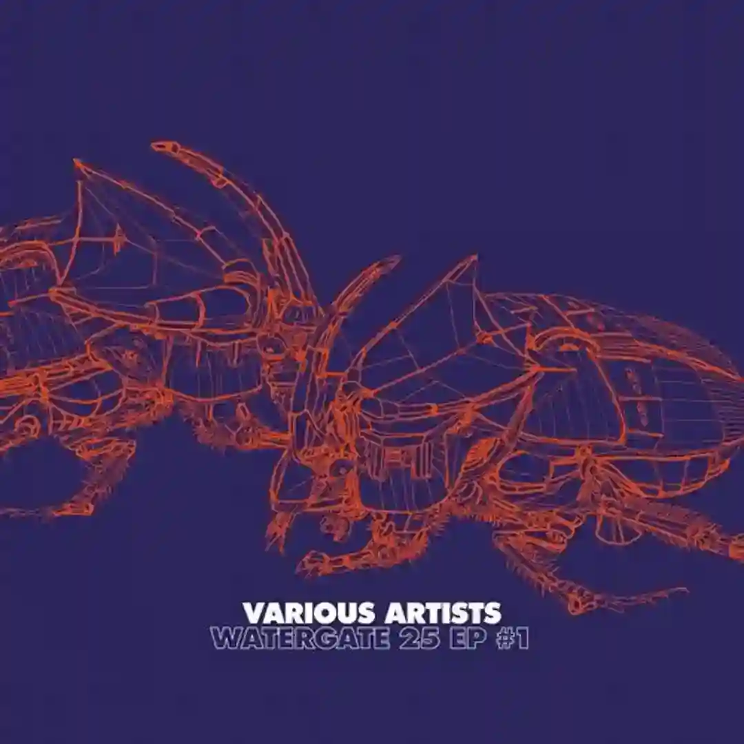 Invaders (Original Mix) cover