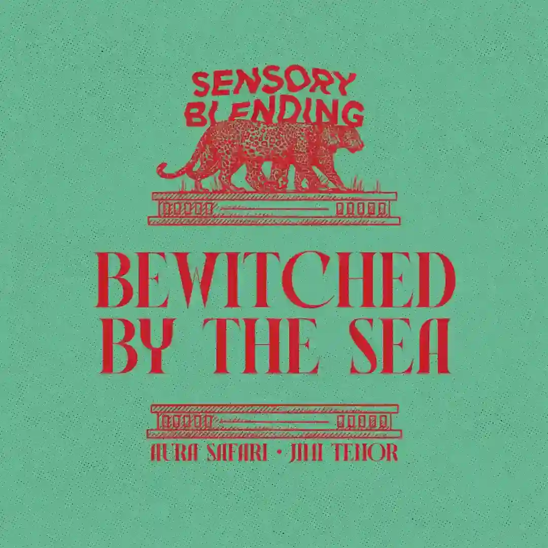 Bewitched By The Sea (Original Mix) cover