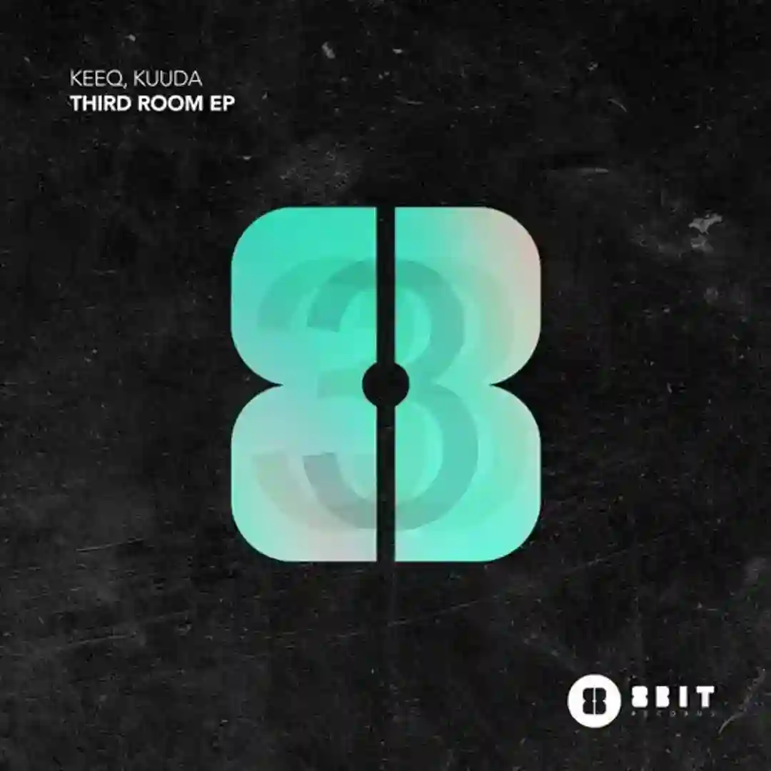 Third Room (Extended Mix) cover
