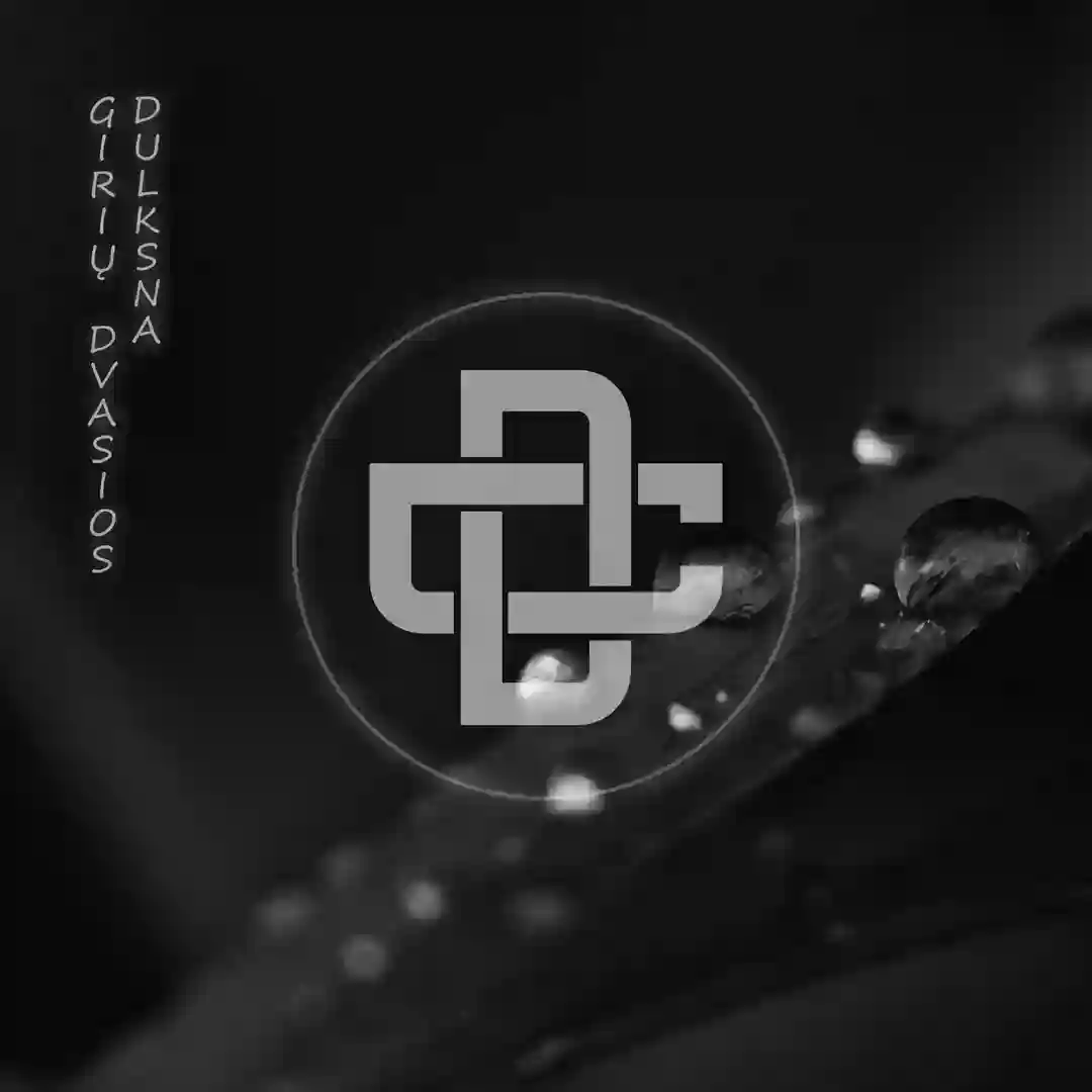 Dvasia (Original Mix) cover