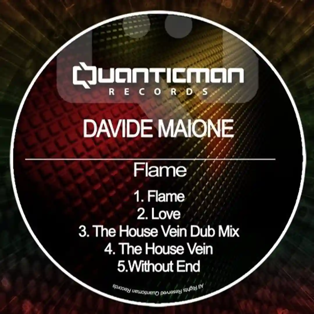 The House Vein Dub Mix (Original Mix) cover