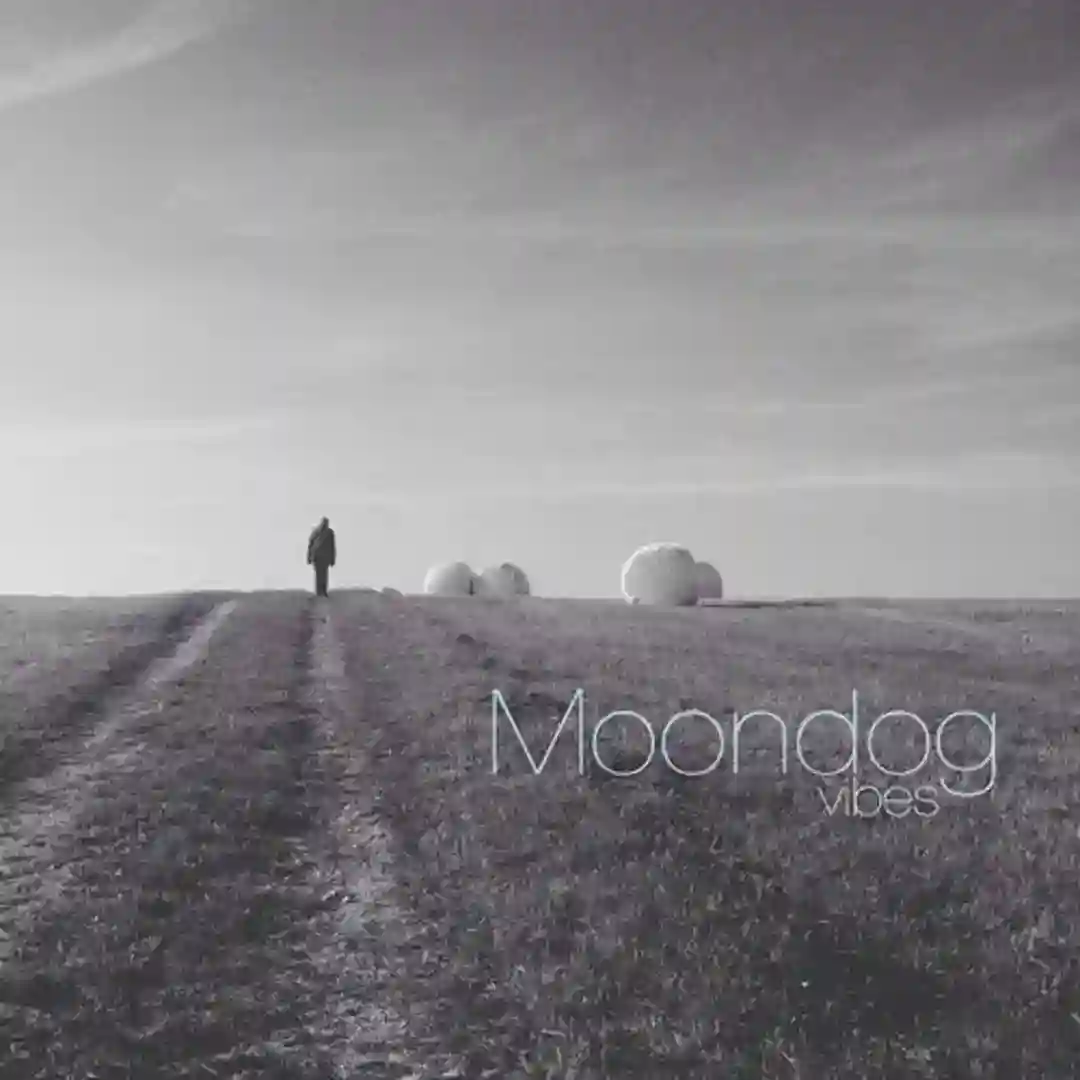 Moondog Vibes cover