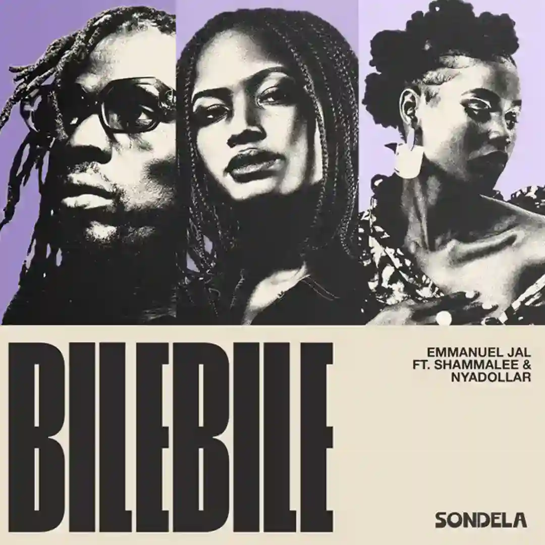 Bilebile cover