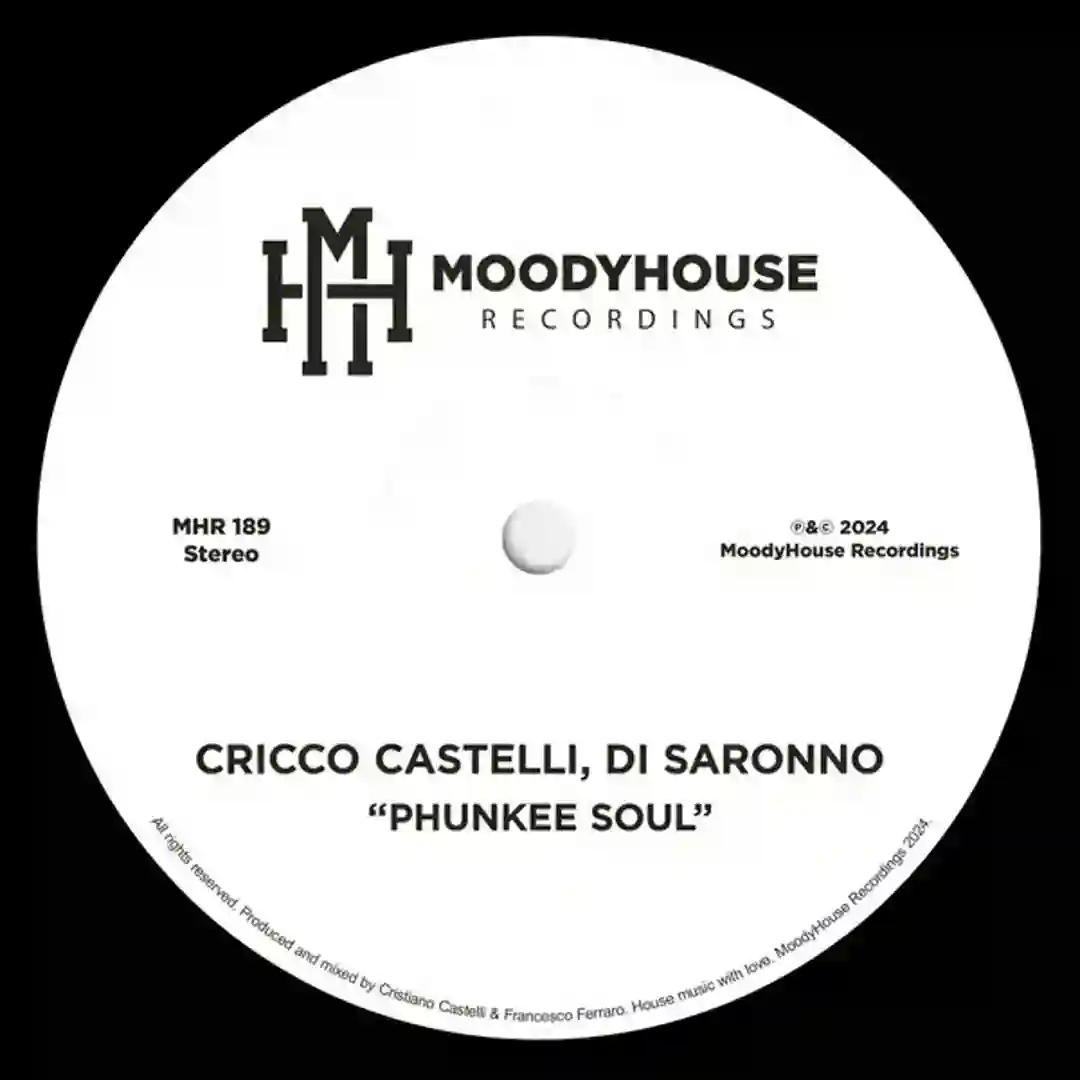 Phunkee Soul (Original Mix) cover