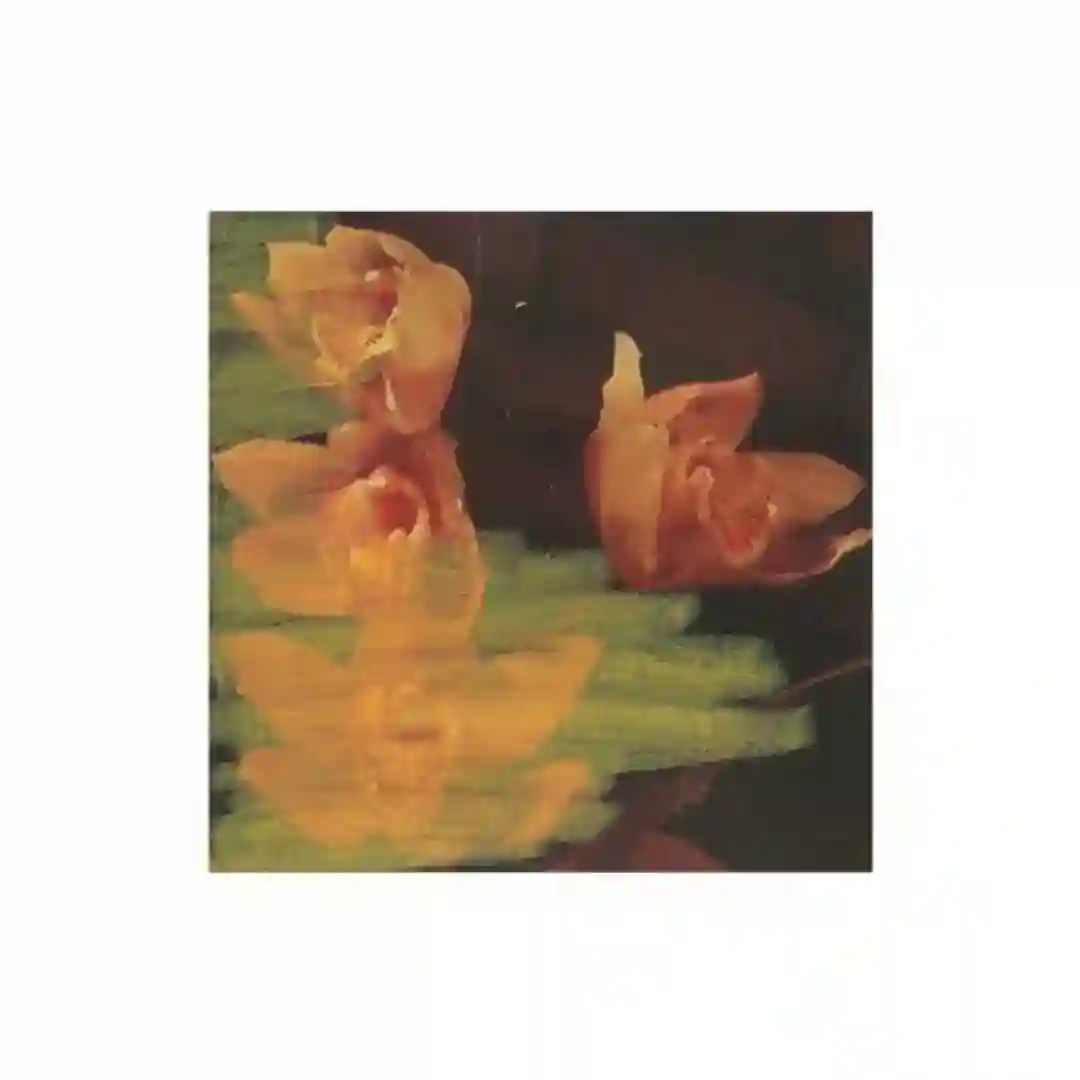 Rhotic (Original Mix) cover