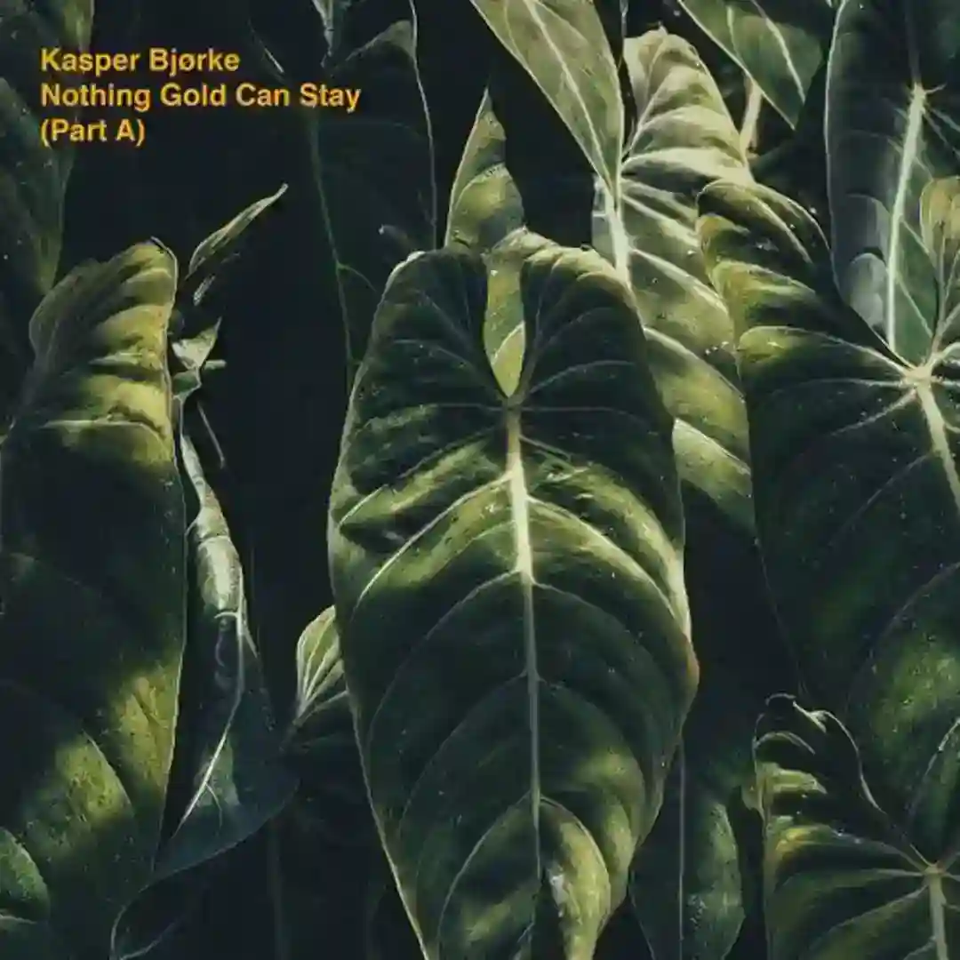 Du Du Du cover