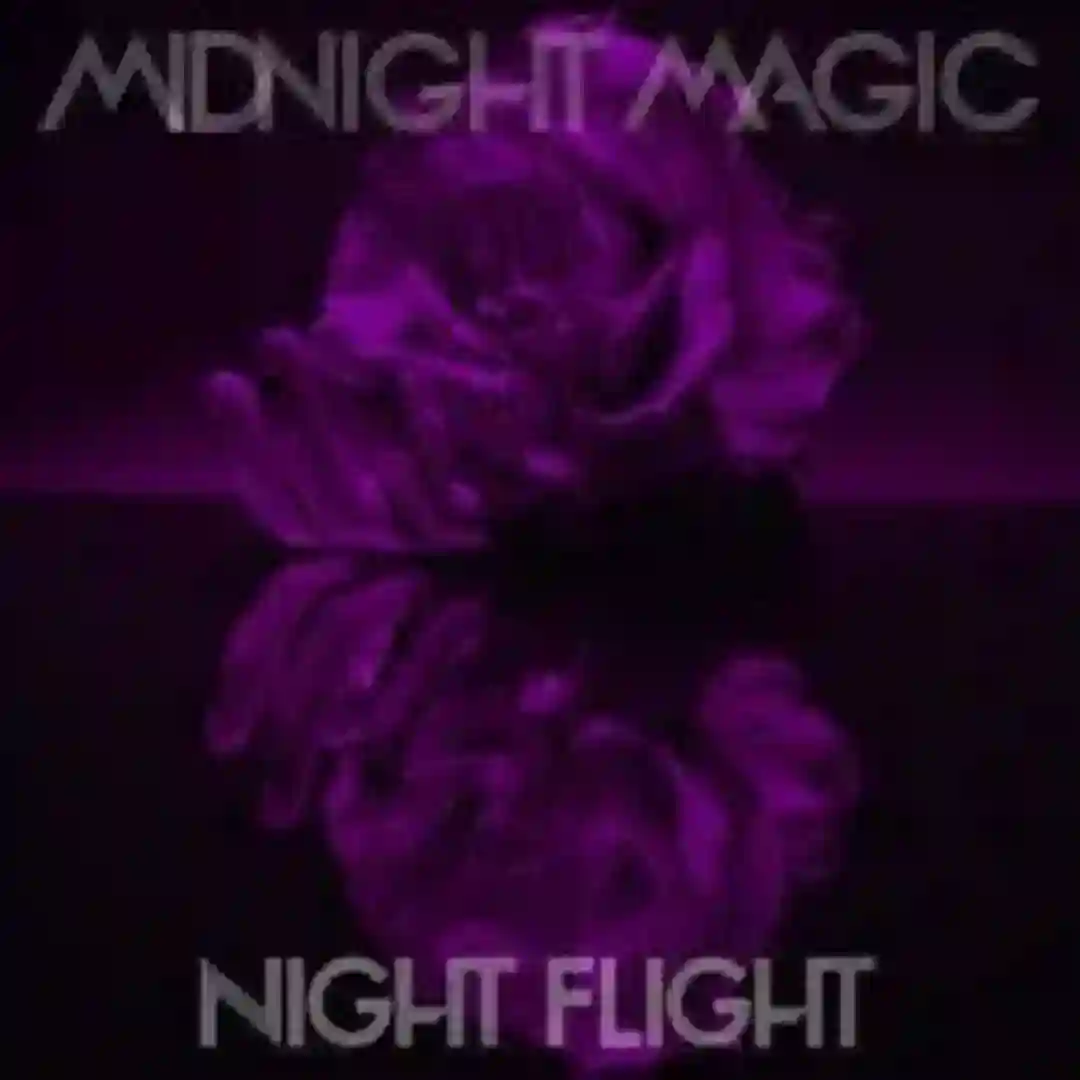 Night Flight (PillowTalk Remix) cover
