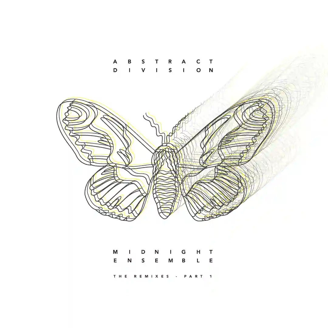 Empty Floor (Pyramidal Decode Remix [DGTL Bonus 001]) cover