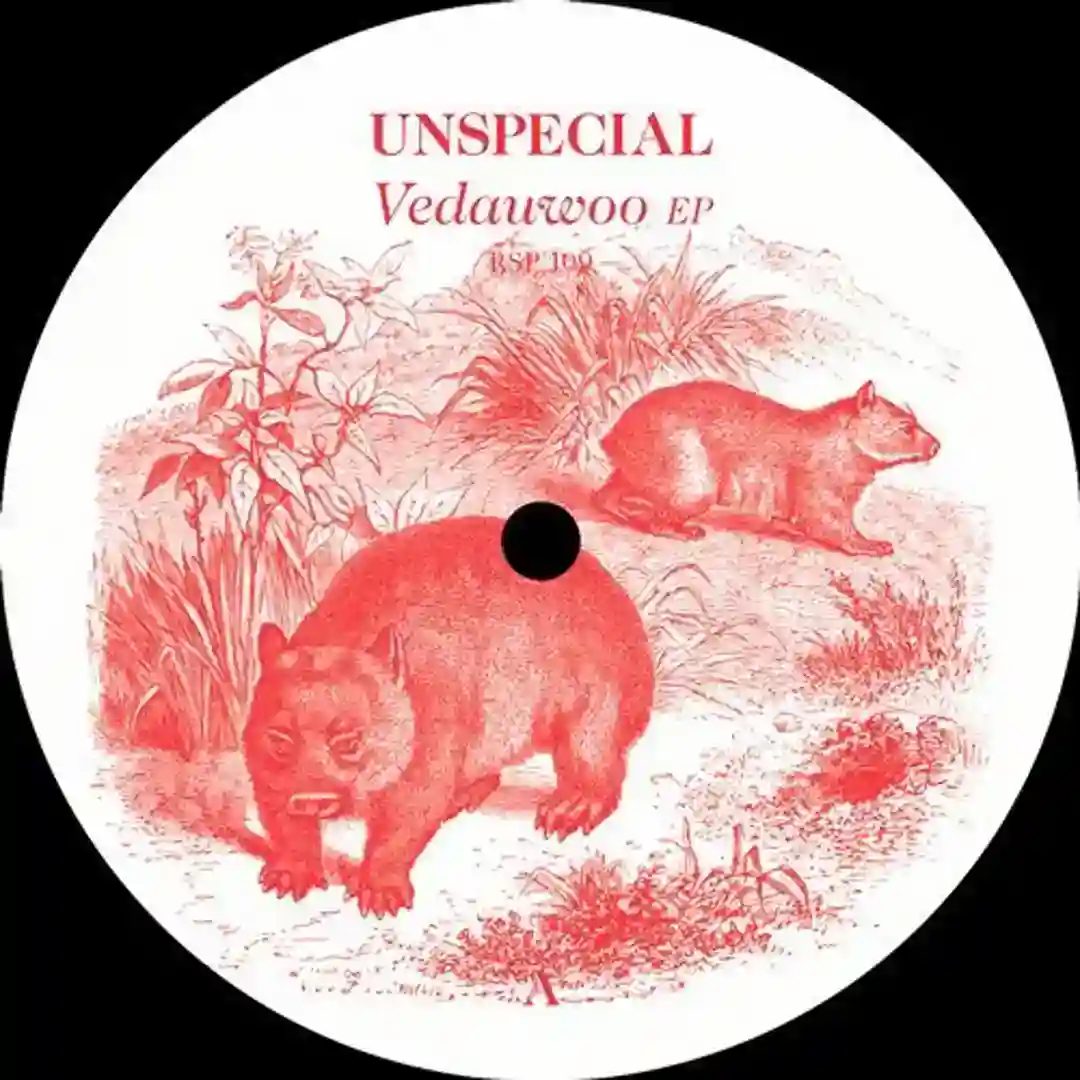 Vedauwoo (Original Mix) cover