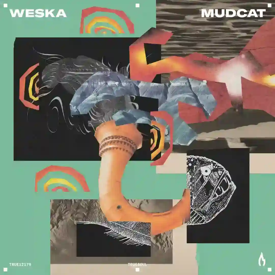 Mudcat cover