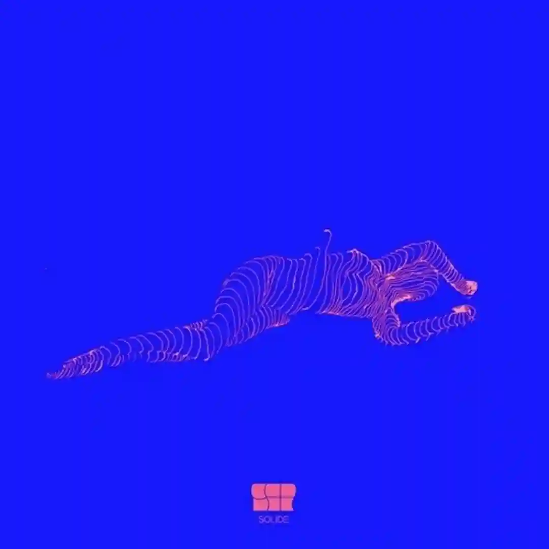 SLD001 cover