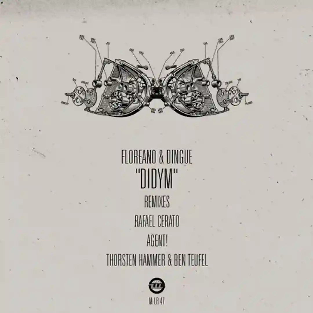 Didym (Original Mix) cover
