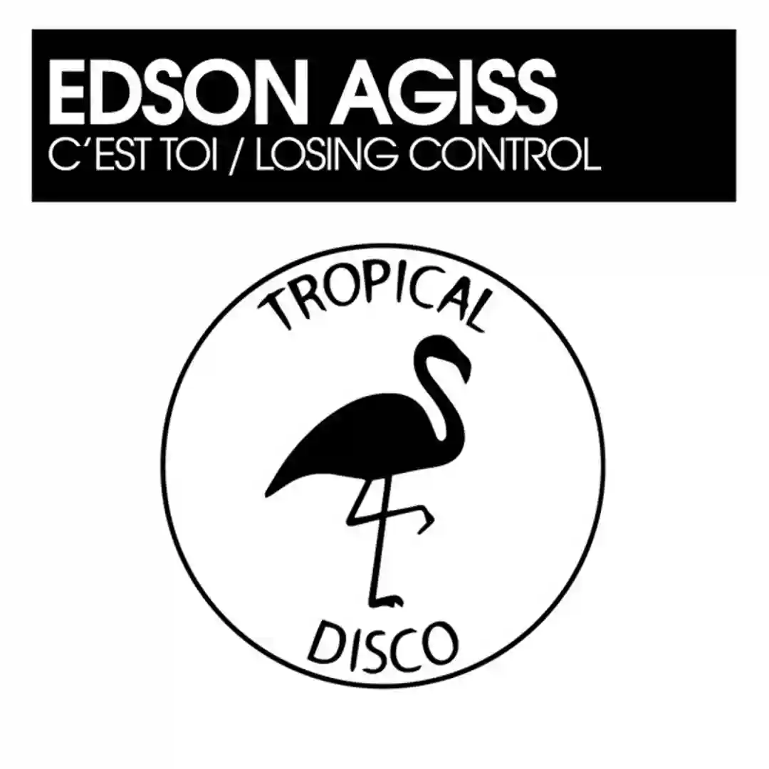 Losing Control cover