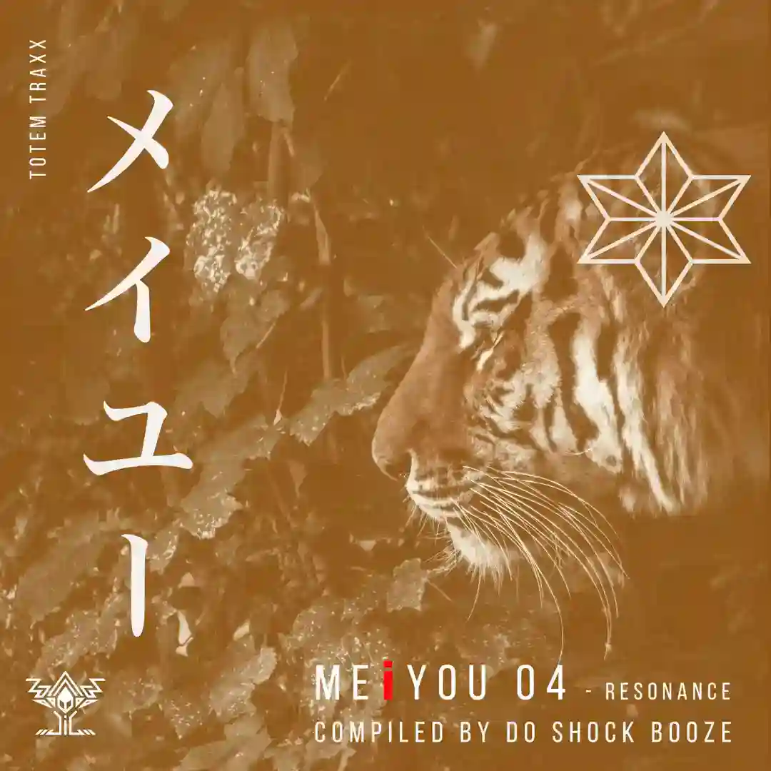 VEDA (feat. Kenji Ikegami) (DO SHOCK BOOZE MEiYOU Remix) cover