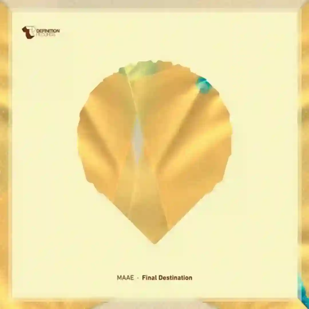 Final Destination (Original Mix) cover