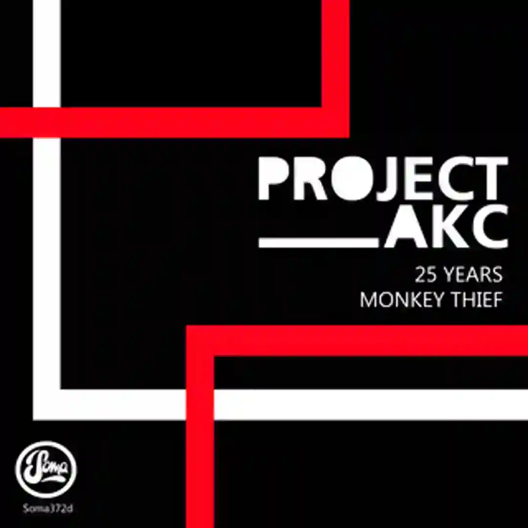 25 Years/Monkey Thief cover