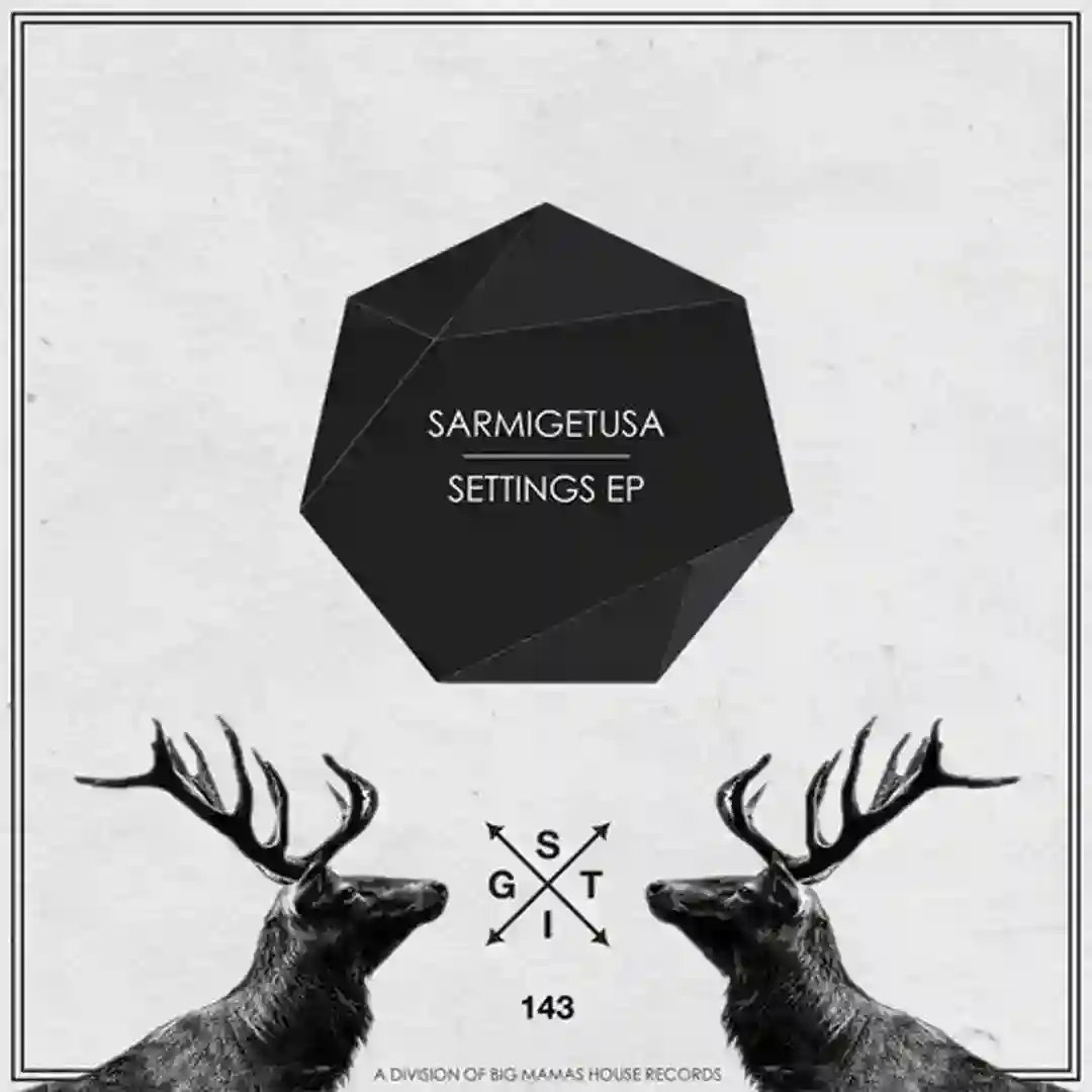 Settings (Original Mix) cover