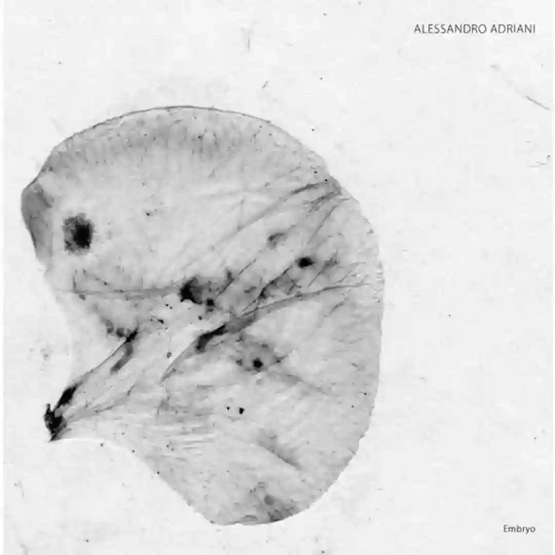 Embryo cover