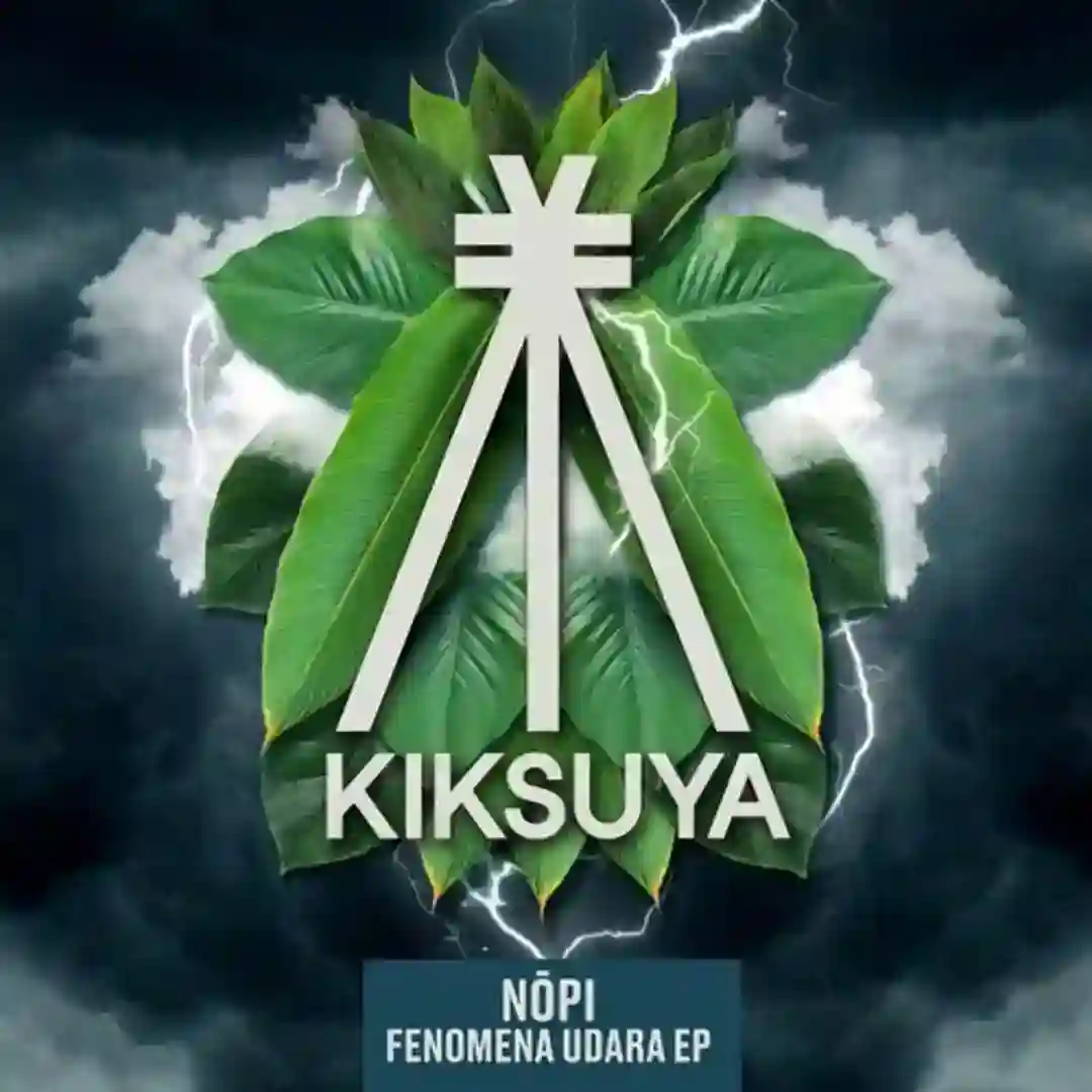 Fenomena Udara (Original Mix) cover