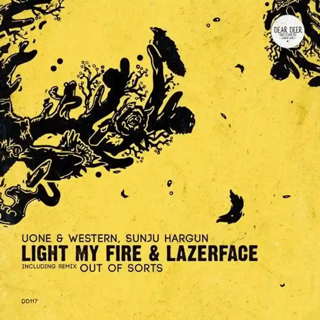 Light My Fire (Original Mix) cover
