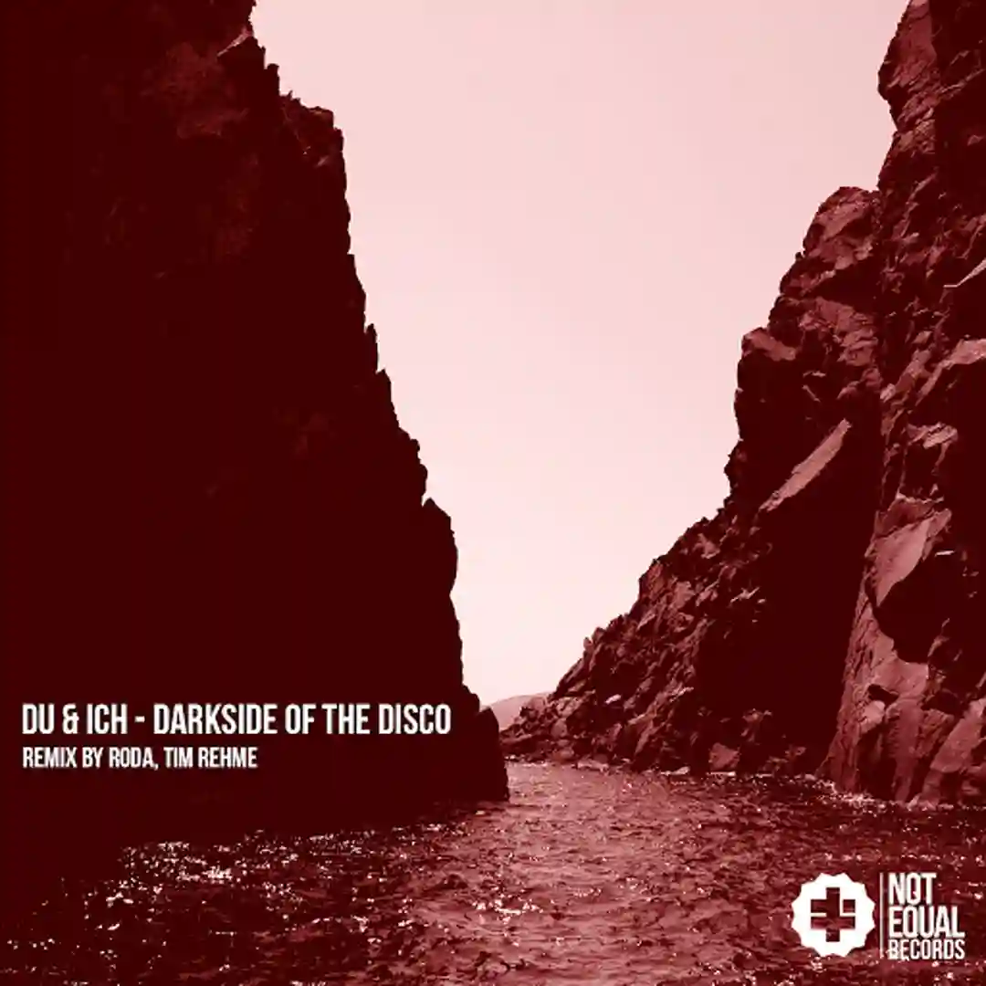 Darkside of the Disco (Tim Rehme Remix) cover