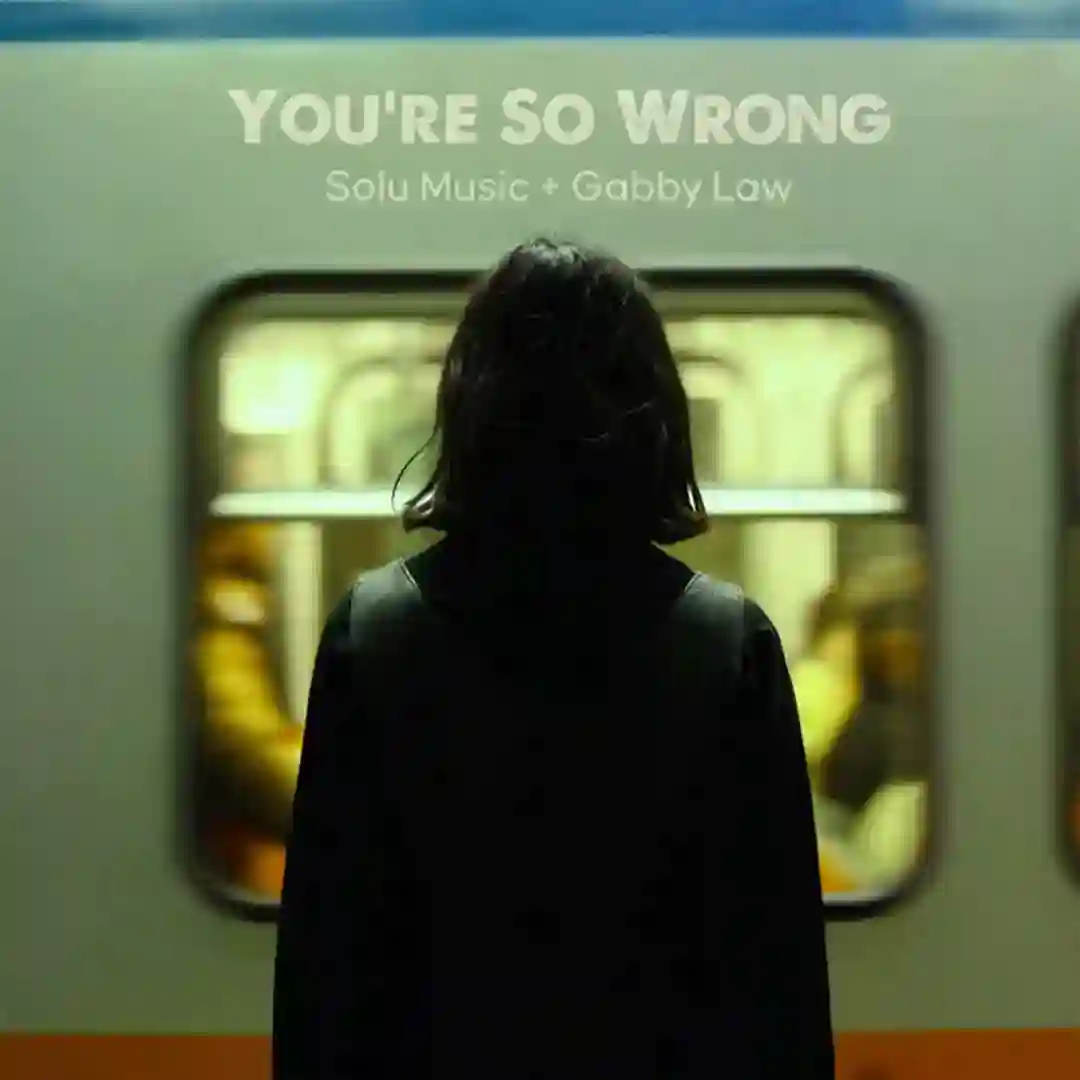 You're So Wrong cover