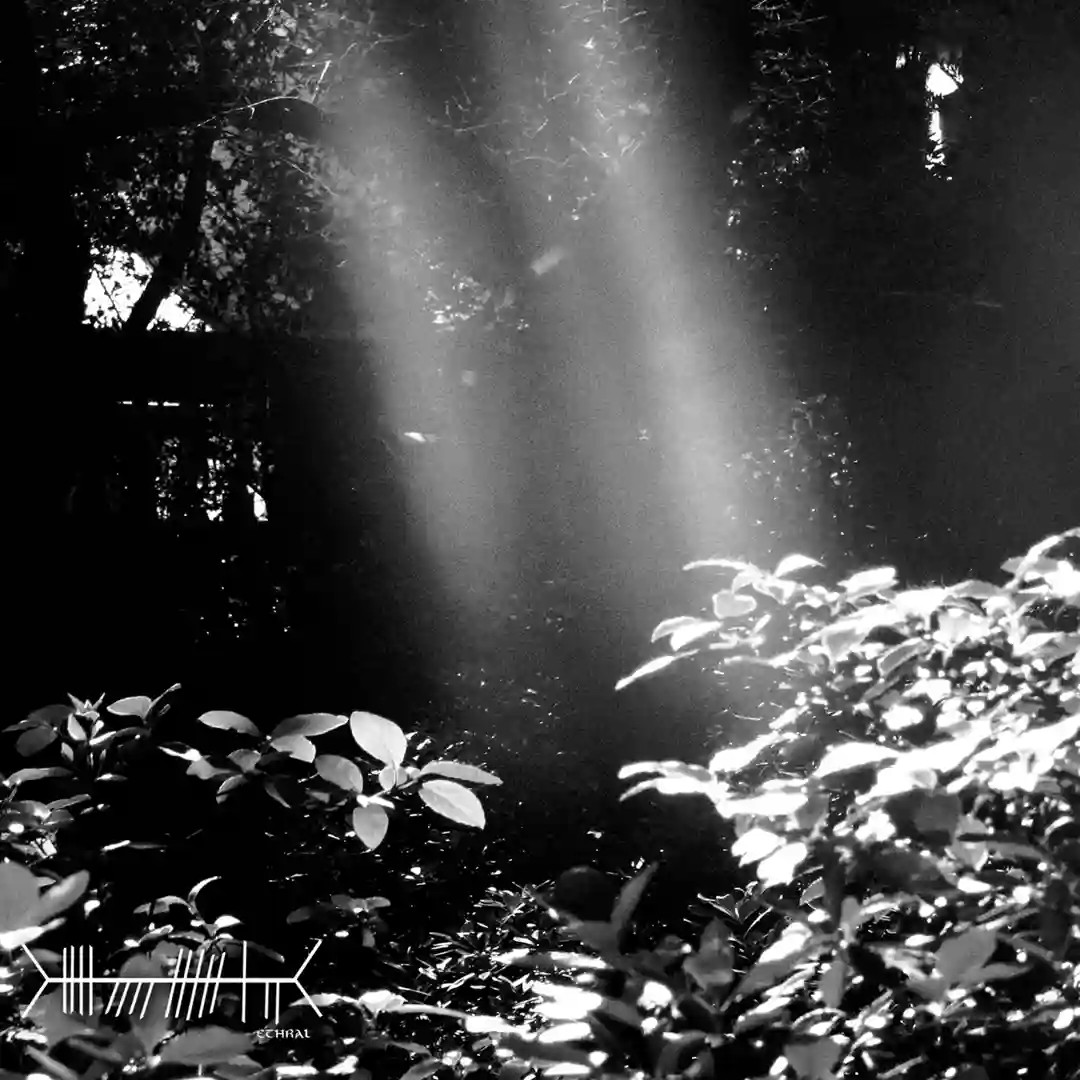 Ein Sonnenstrahl (Pulso Remix) cover