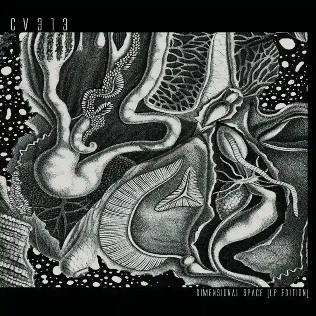 Dimensional Space [Alchemy CD Edition] UNRELEASED cover