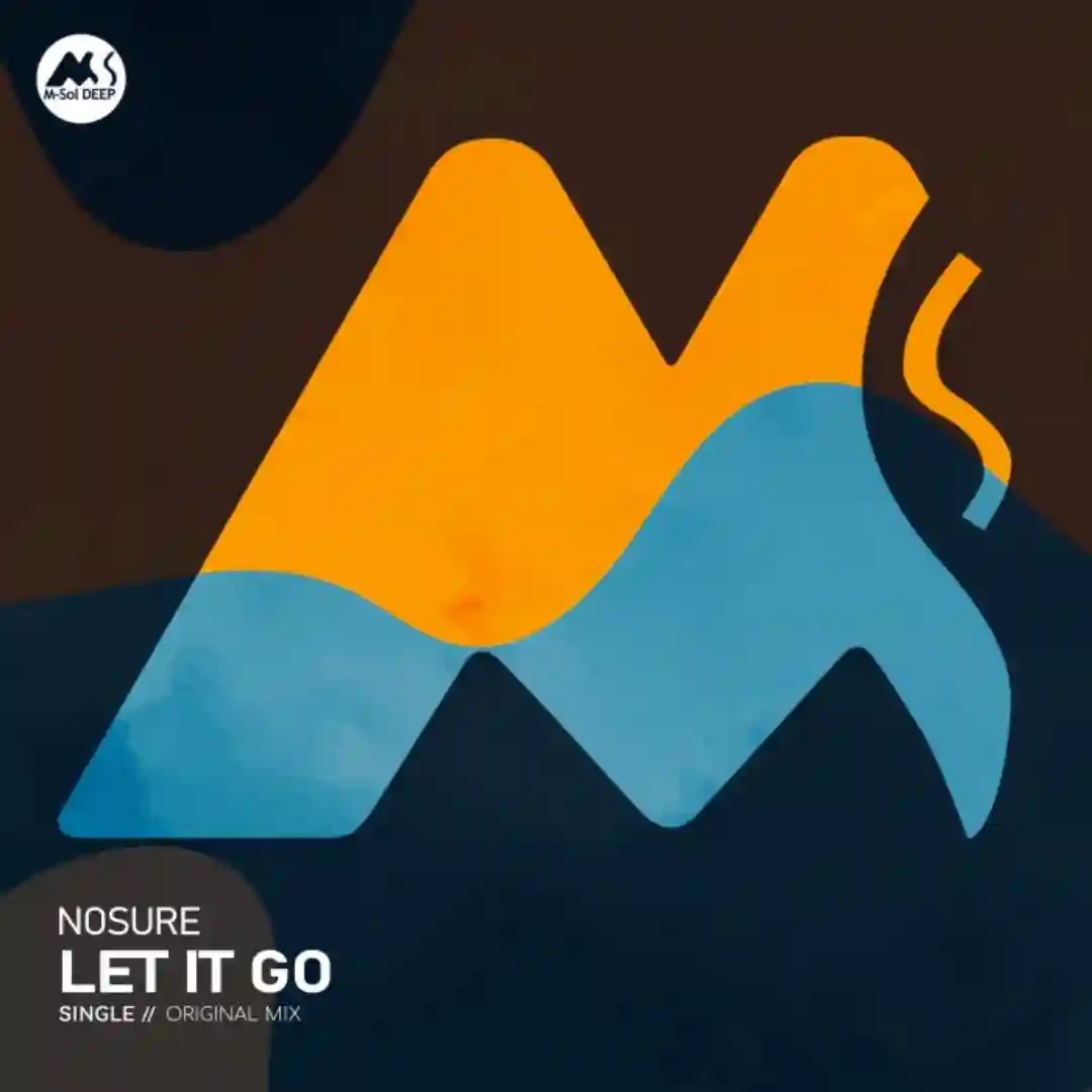 Let It Go cover