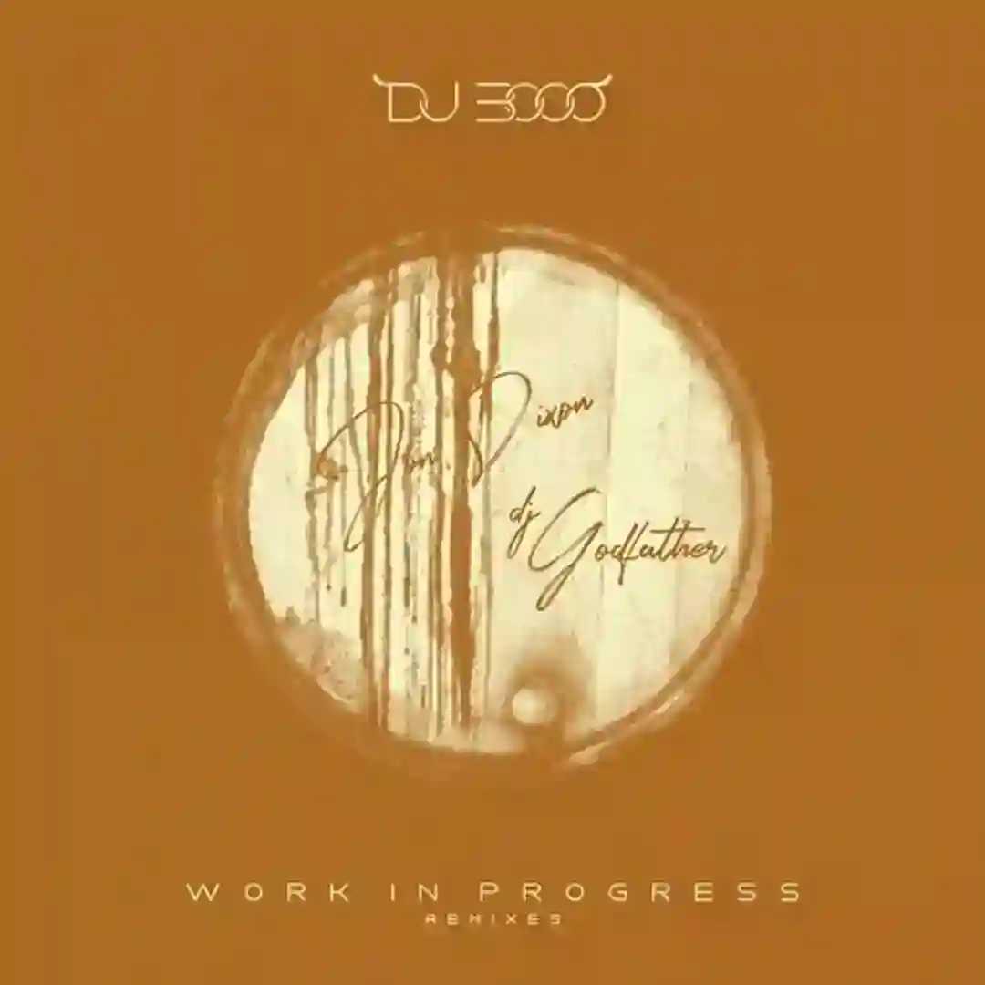 Work in Progress (12 Inch Mix) cover