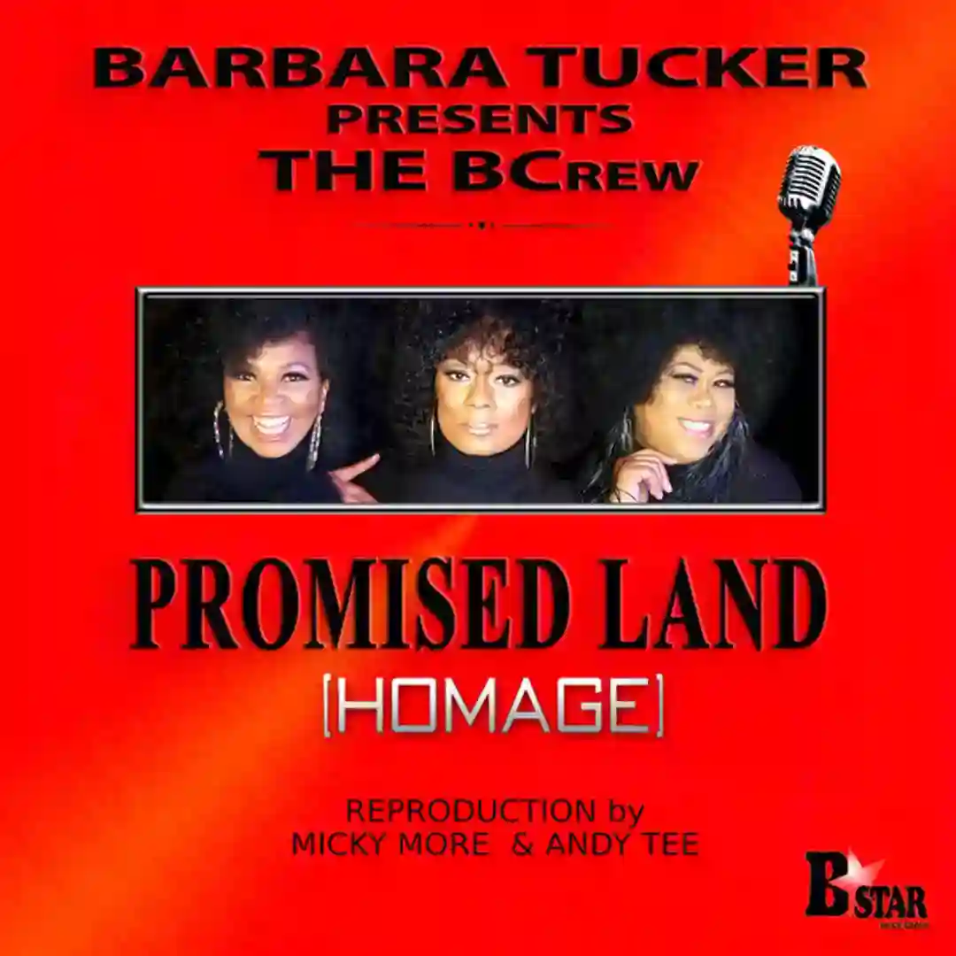 Promised Land (Homage) cover