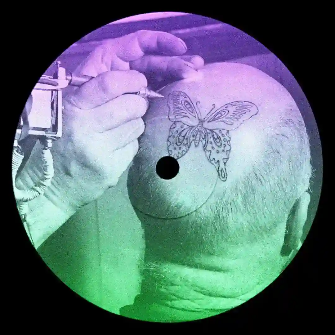 Butterfly Effect (Remixes) [ZENDNLS656W] cover