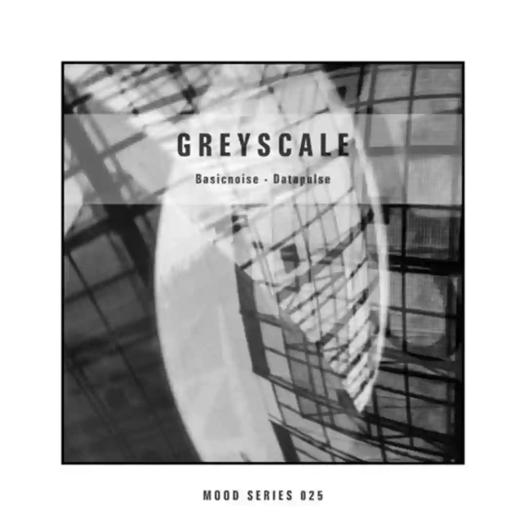 Datapulse 4 cover