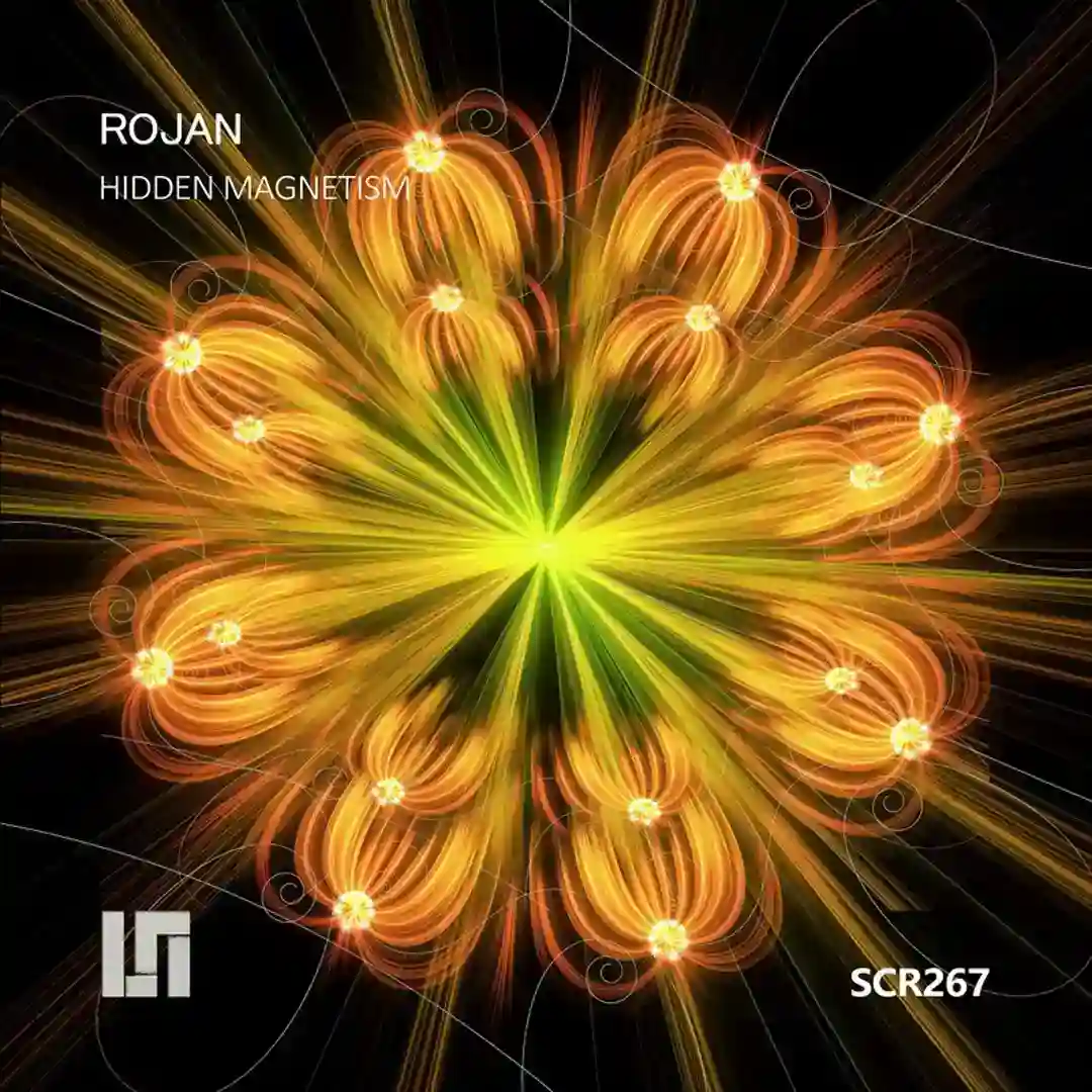 Hidden Magnetism cover