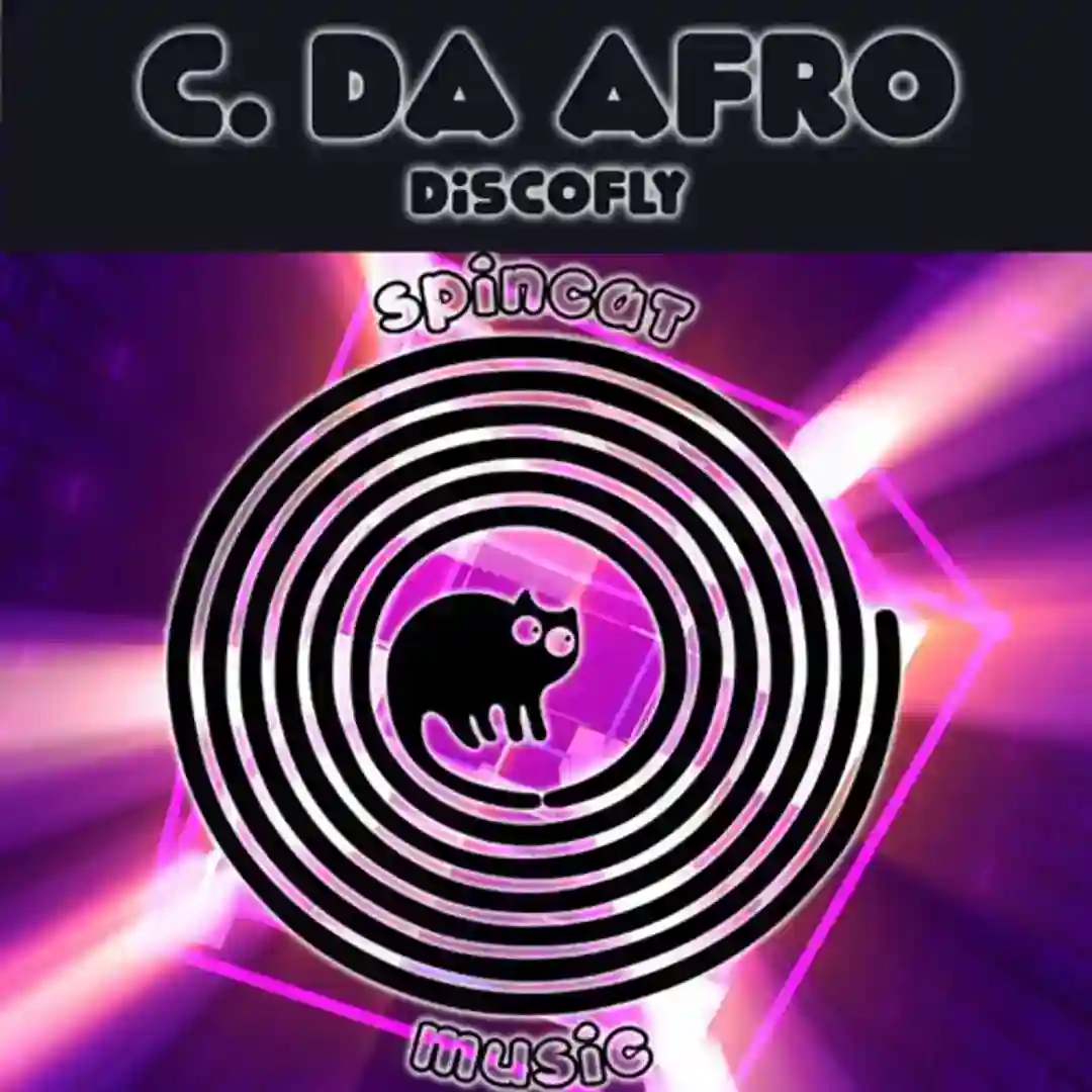 DiscoFly cover