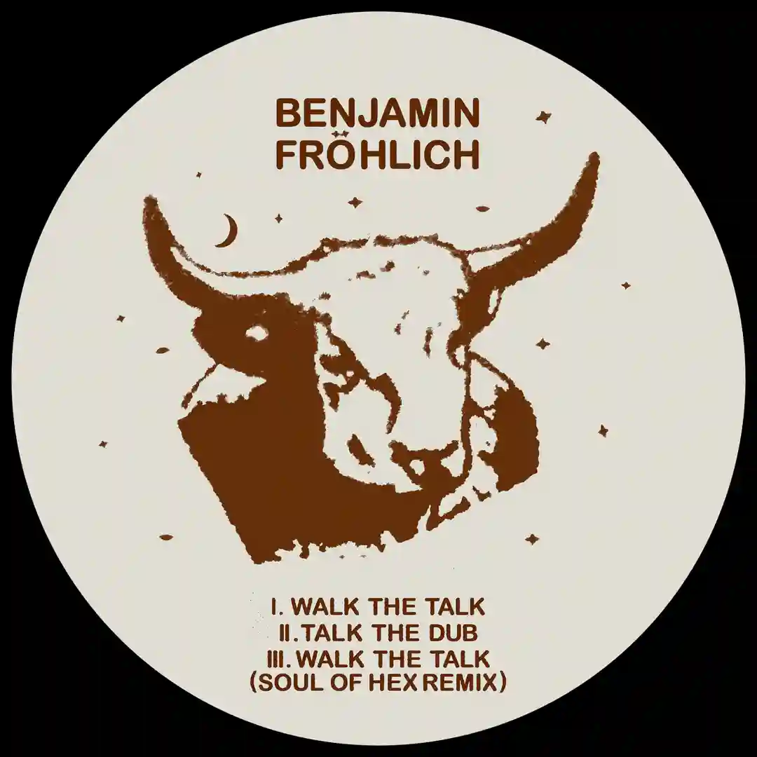 Walk The Talk (Original Mix) cover