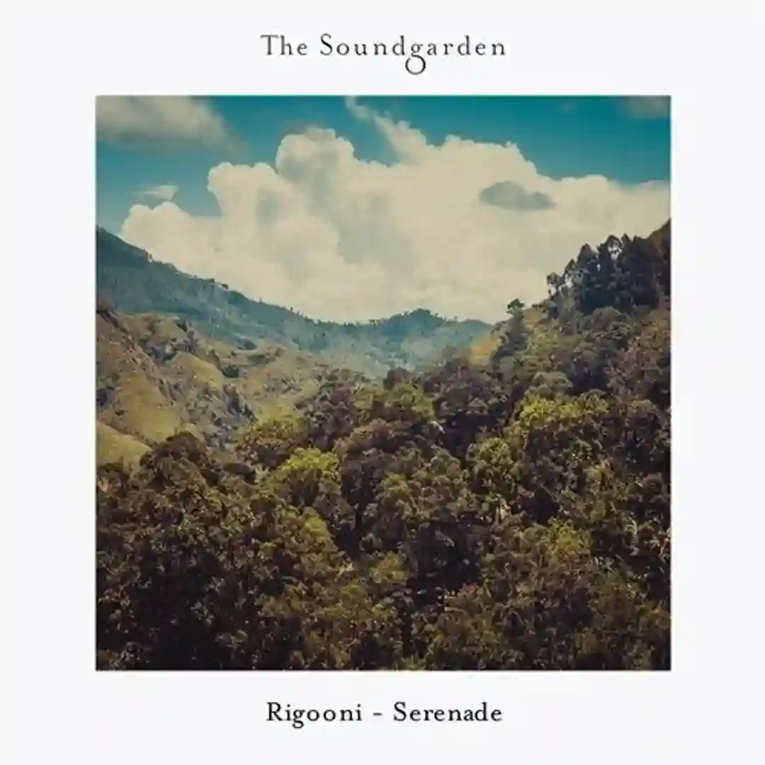 Serenade (Original Mix) cover