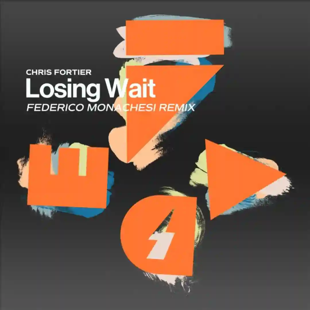 Losing Wait (Federico Monachesi Remix) cover